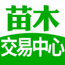 记者：弗拉霍维奇与米兰就待遇问题展开谈判