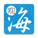 日本企业推出猫用智能项圈 利用AI监测猫咪压力