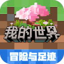 决战星期四：懂球帝6